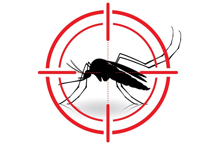 Dexter Pest Control Services in Vellore - Vellore Ads