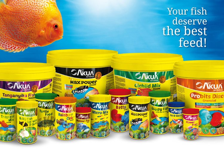 TSR Dolphins Petzone in Vellore - Vellore Ads