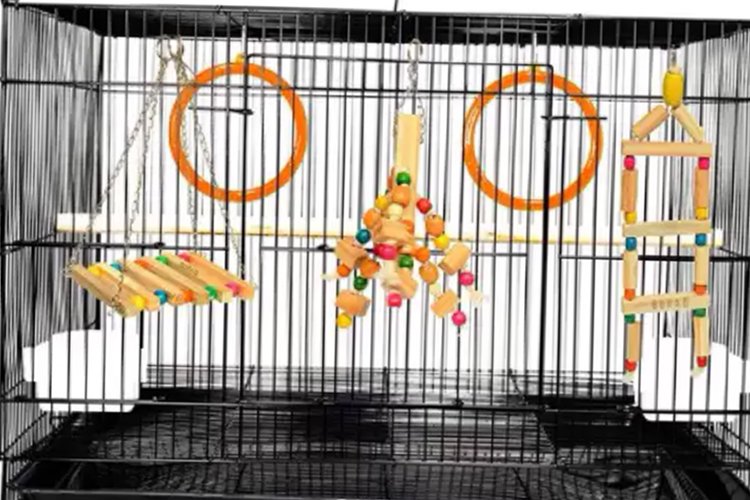 TSR Dolphins Petzone in Vellore - Vellore Ads