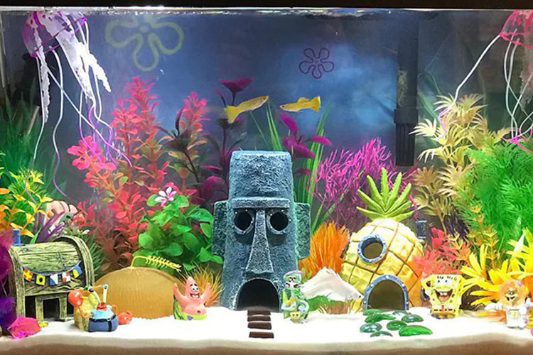 Blues and green aquarium vellore in Vellore - Vellore Ads