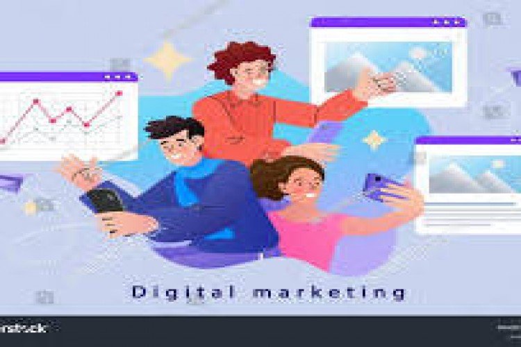 Redback Website in Vellore - Vellore Ads